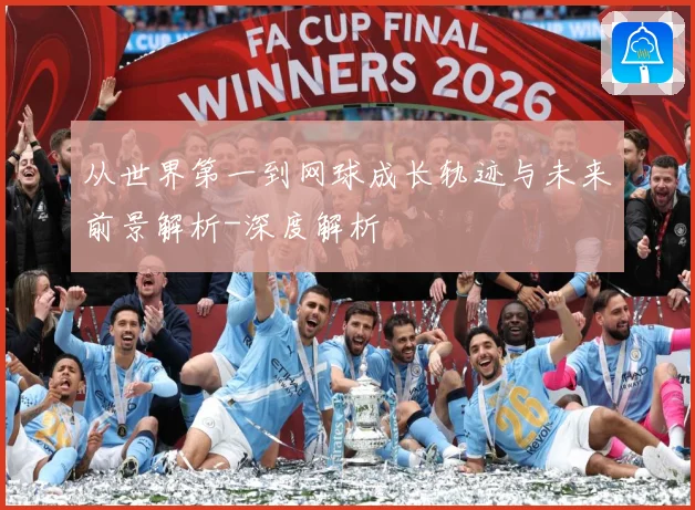 从世界第一到网球成长轨迹与未来前景解析-深度解析