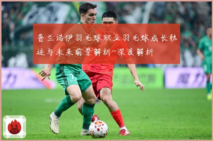 普兰诺伊羽毛球职业羽毛球成长轨迹与未来前景解析-深度解析
