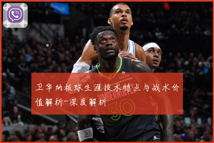 卫华纳板球生涯技术特点与战术价值解析-深度解析