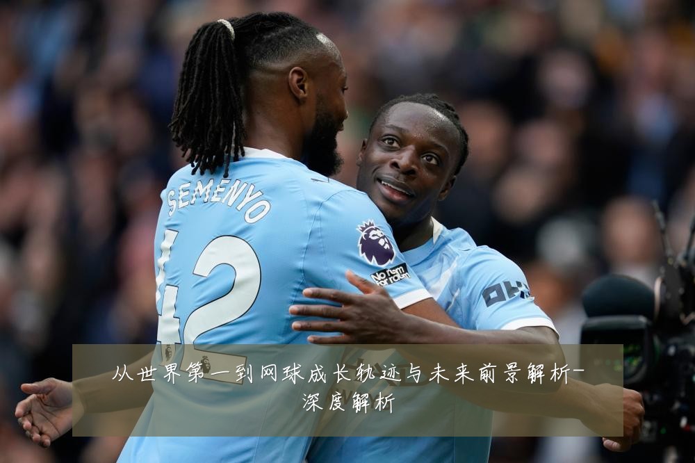 从世界第一到网球成长轨迹与未来前景解析-深度解析