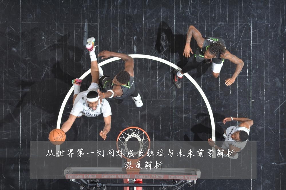 从世界第一到网球成长轨迹与未来前景解析-深度解析