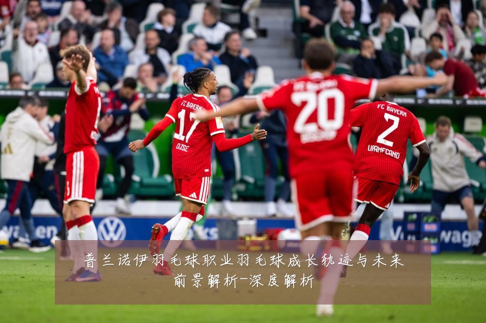 普兰诺伊羽毛球职业羽毛球成长轨迹与未来前景解析-深度解析