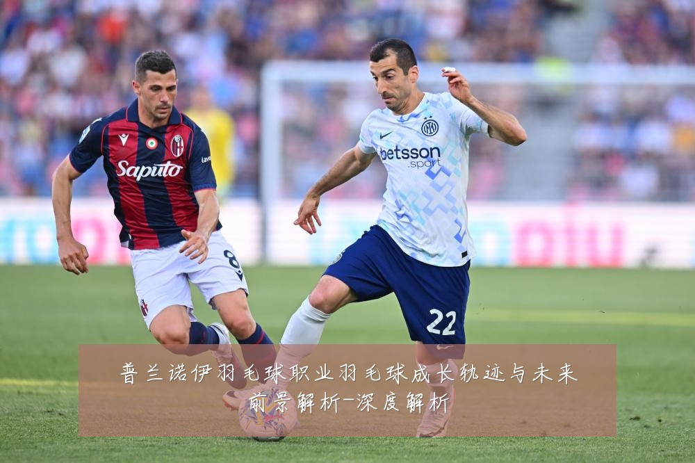 普兰诺伊羽毛球职业羽毛球成长轨迹与未来前景解析-深度解析