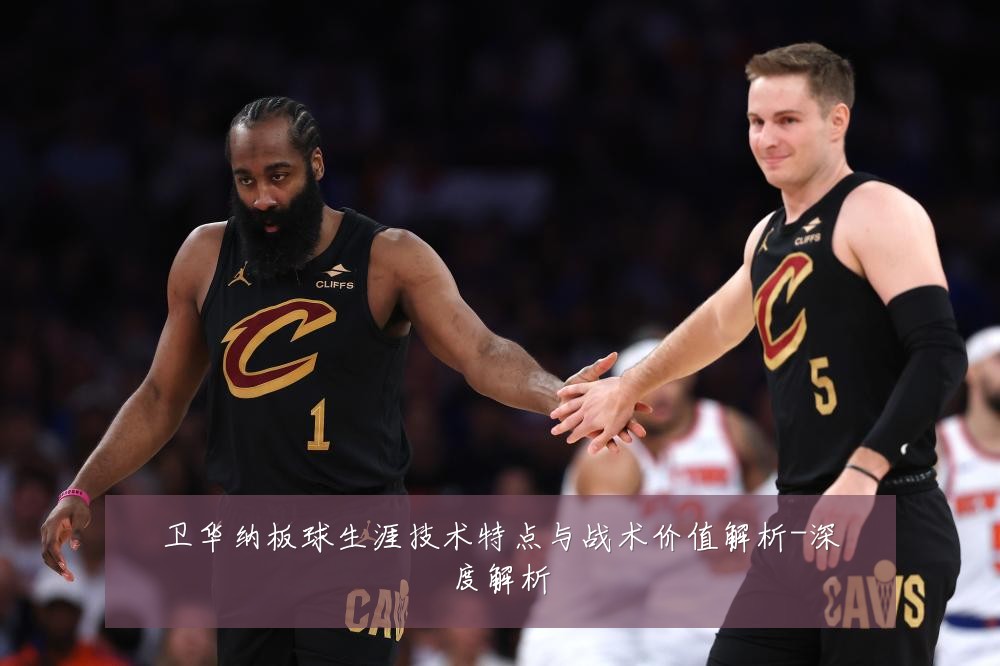 卫华纳板球生涯技术特点与战术价值解析-深度解析