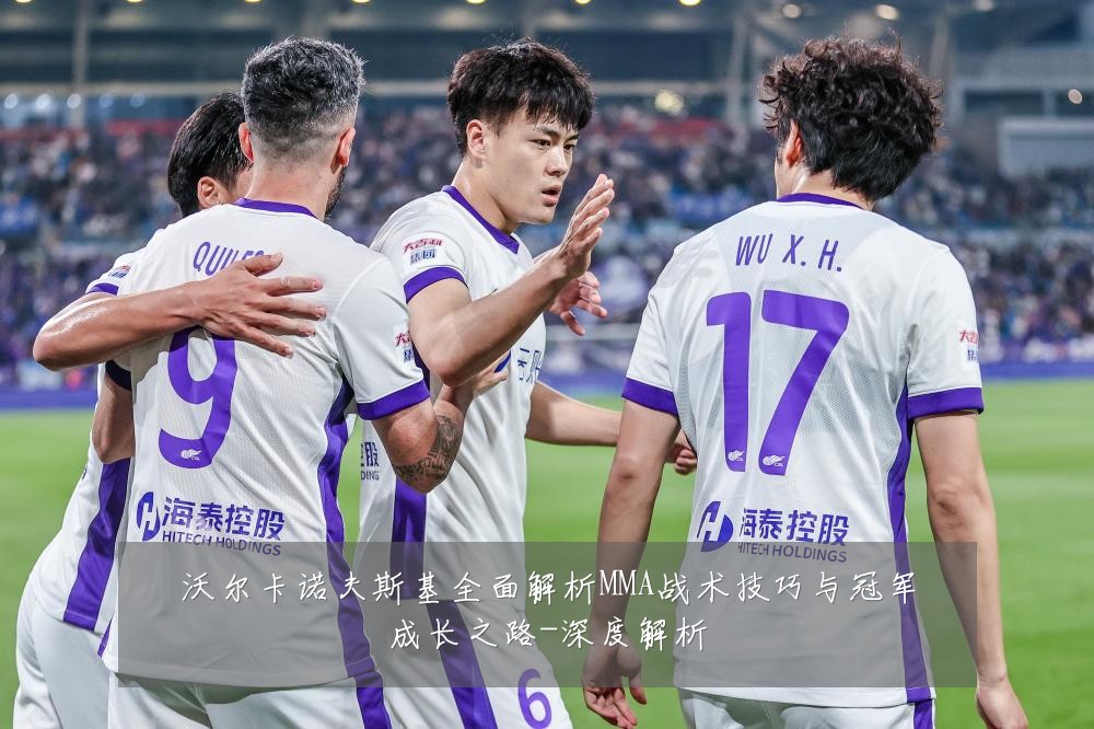沃尔卡诺夫斯基全面解析MMA战术技巧与冠军成长之路-深度解析